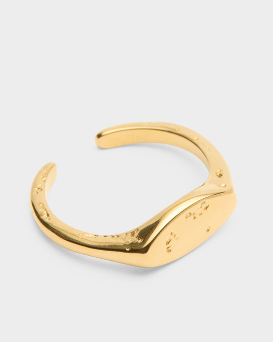 Molten Signet Ring