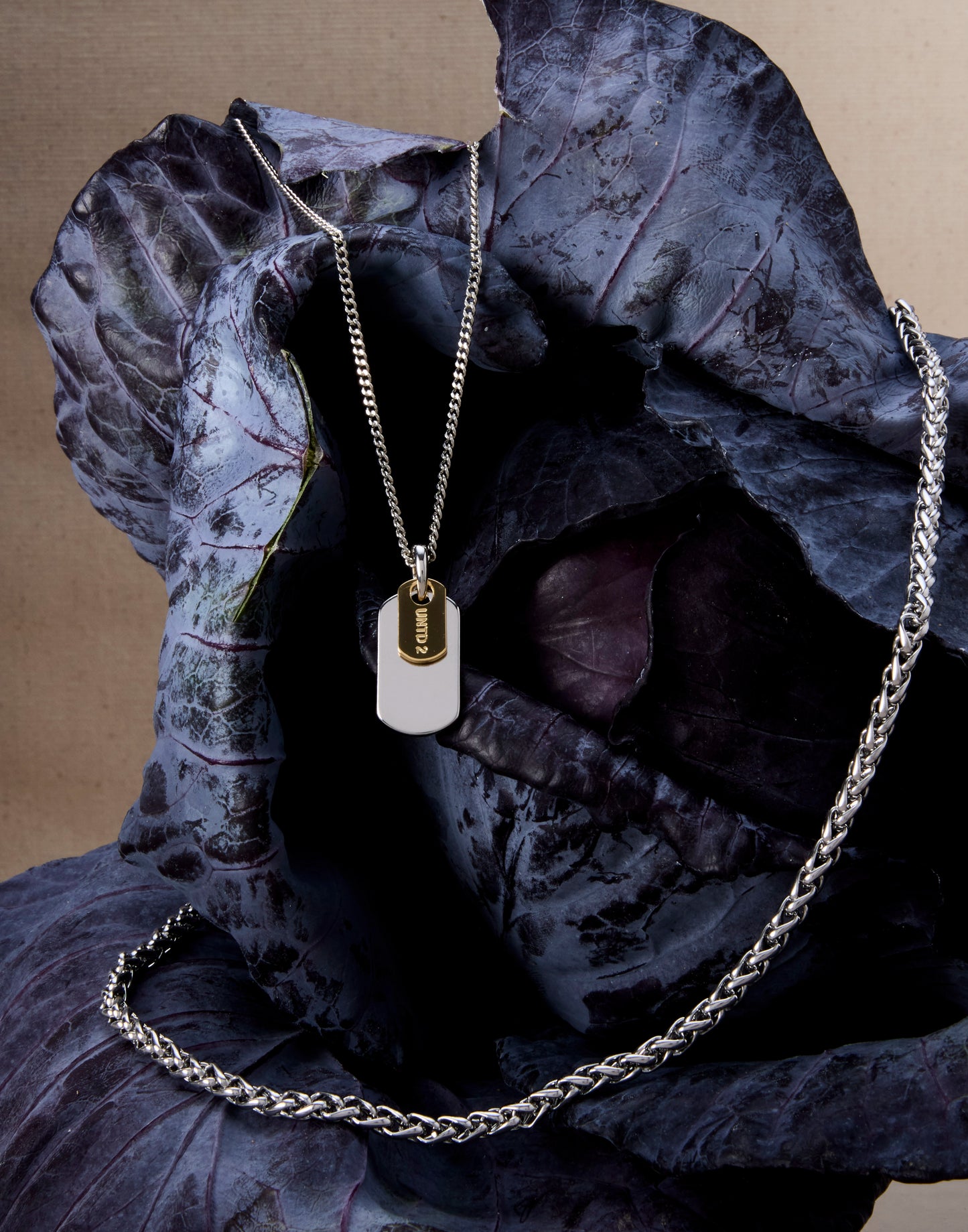 Snake Chain Necklace Women